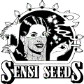 Sensi Seeds Oudezijds Achterburgwal 150