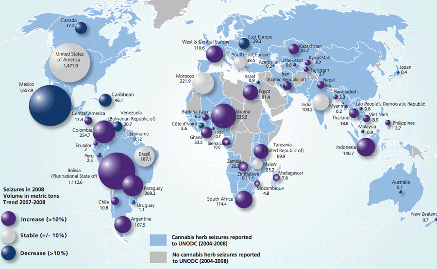 Map of Marijuana Busts Around the World