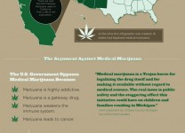 עובדות על מריחואנה רפואית